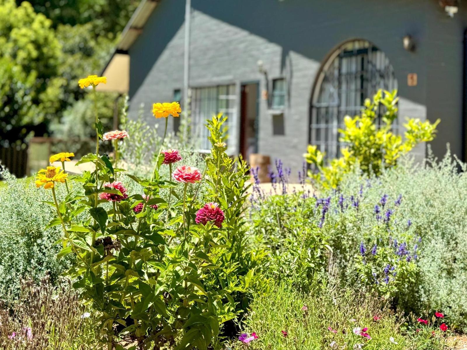 Fiddler'S Green Magoebaskloof Eksteriør bilde